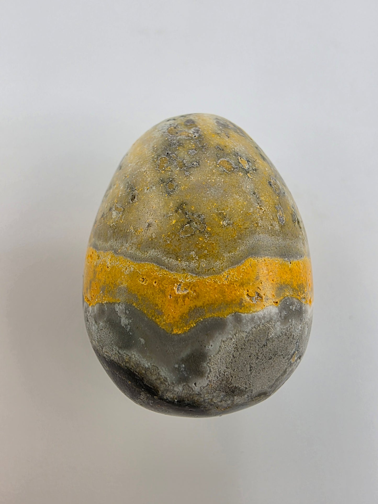 Bumblebee Jasper