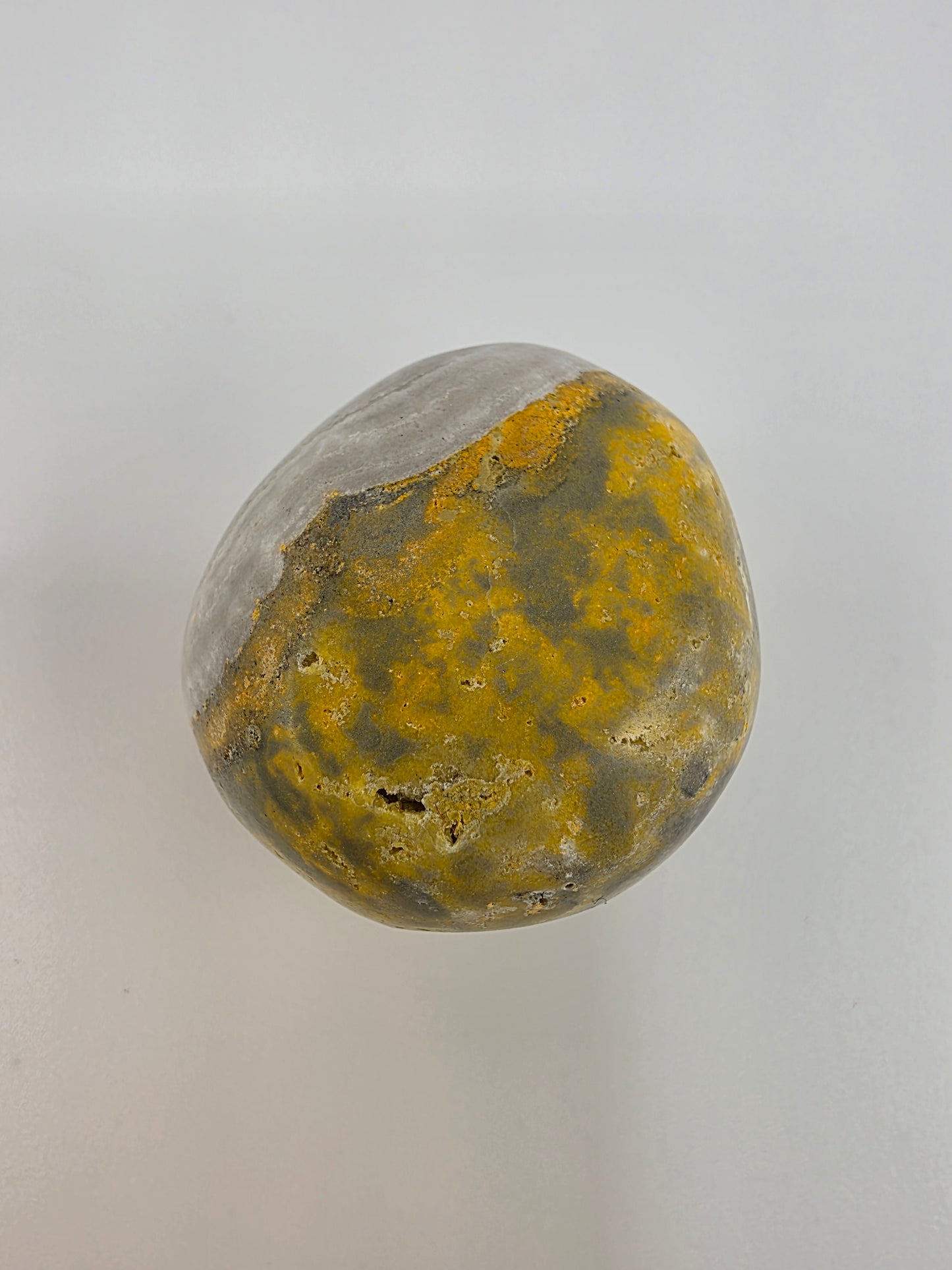 Bumblebee Jasper