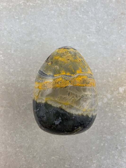 Bumblebee Jasper