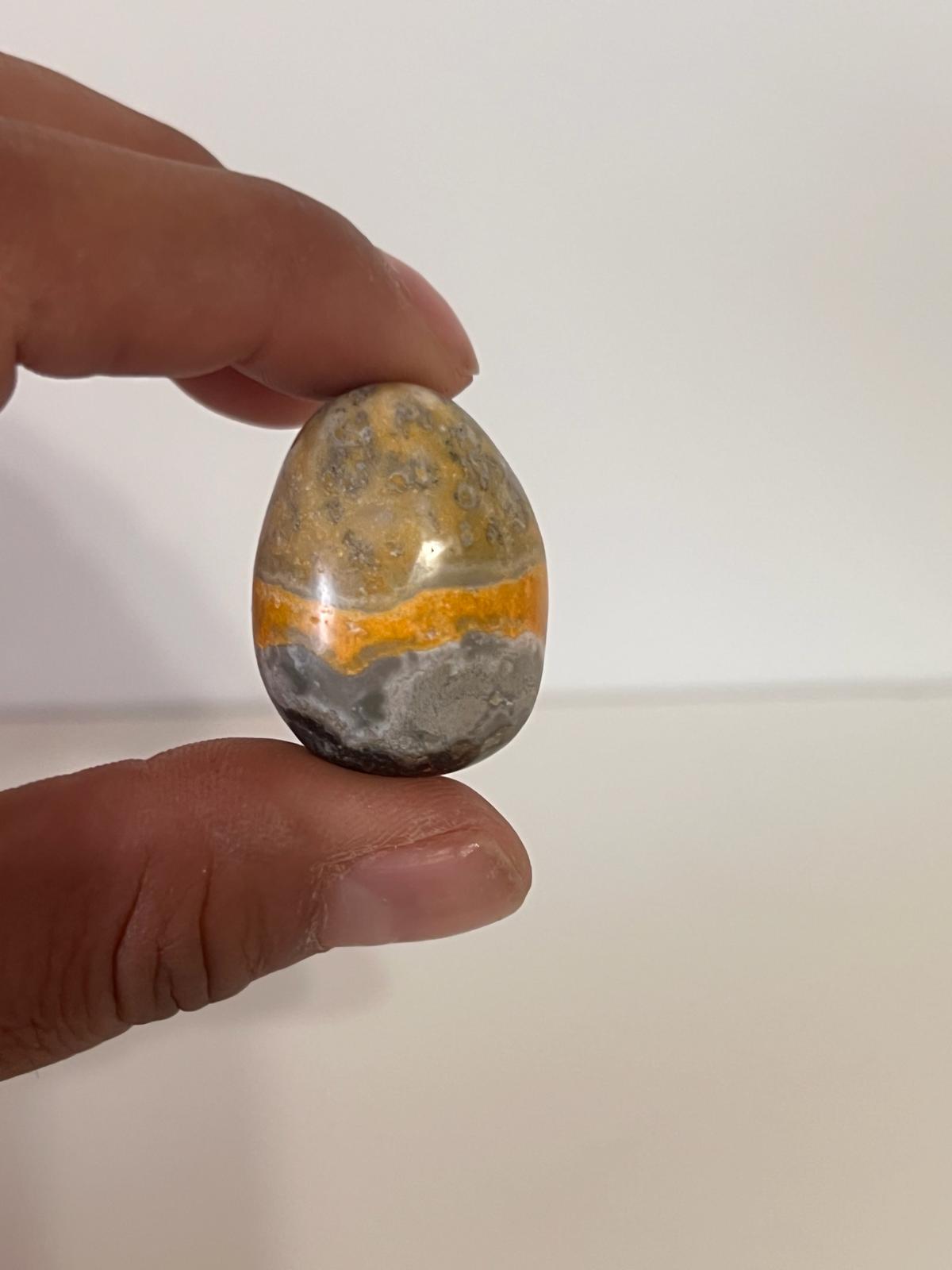 Bumblebee Jasper