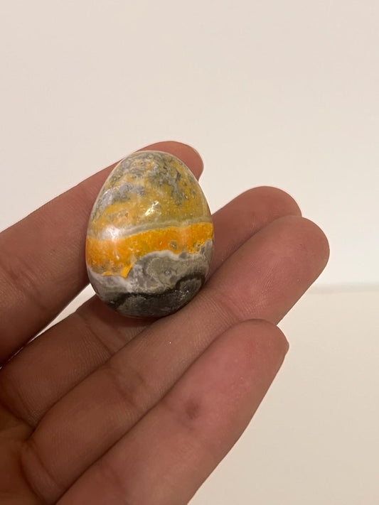 Bumblebee Jasper