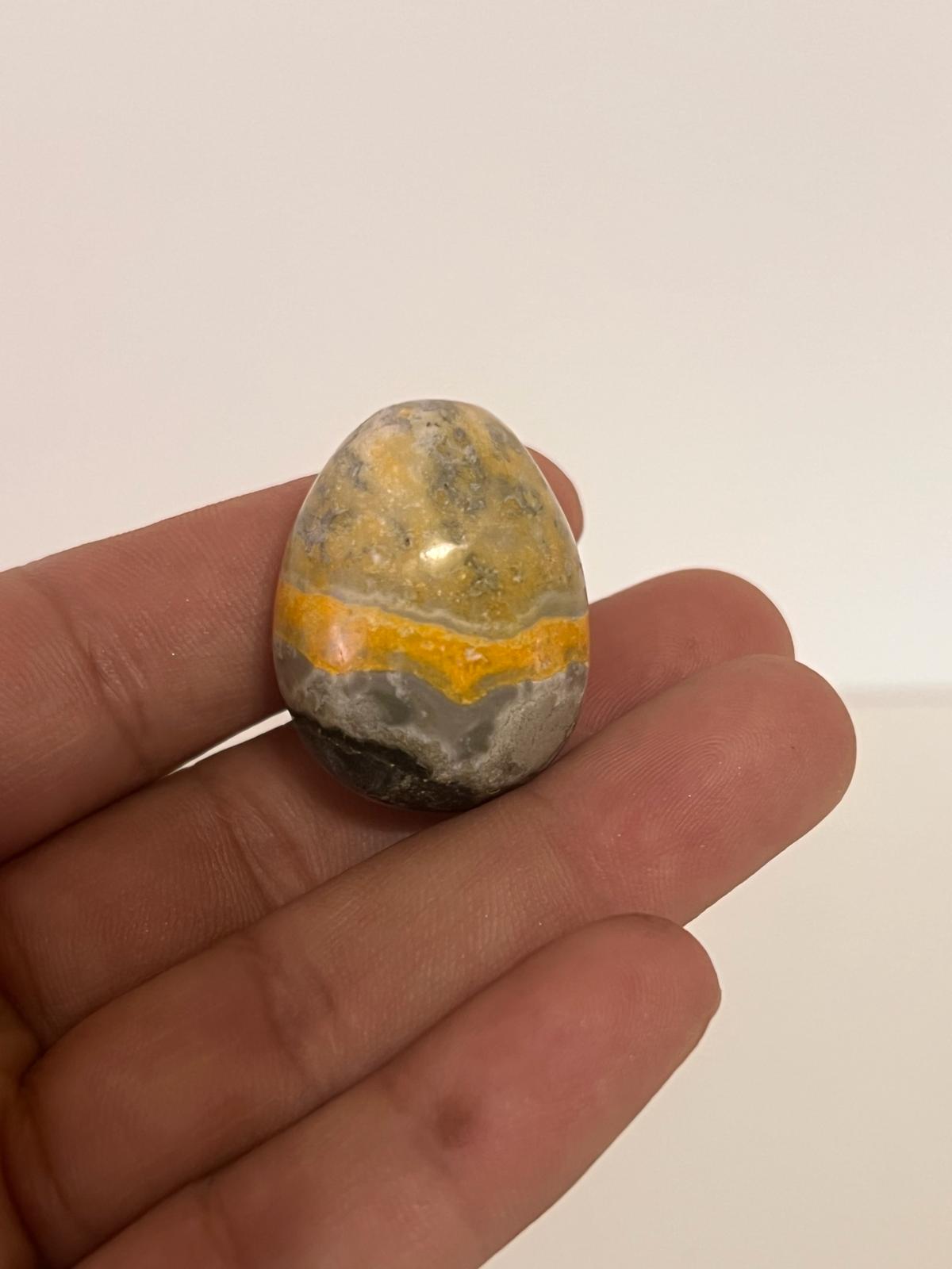 Bumblebee Jasper