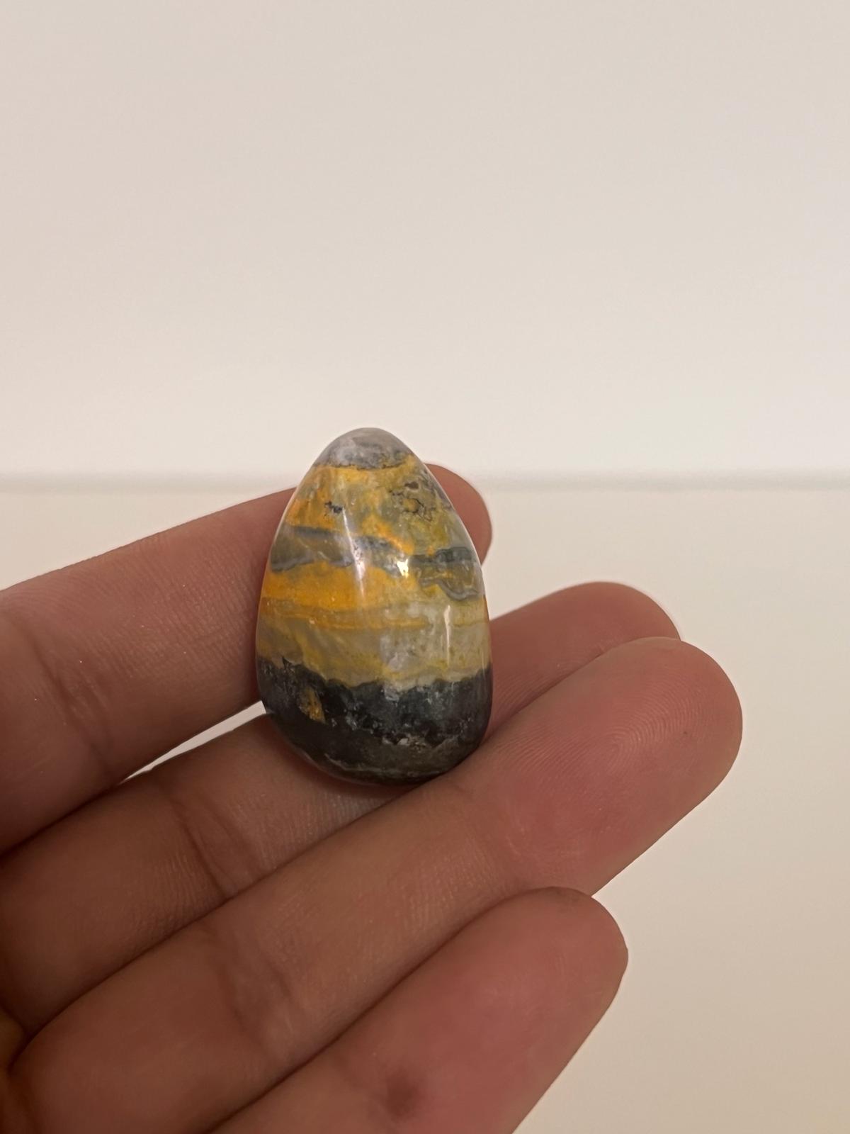 Bumblebee Jasper