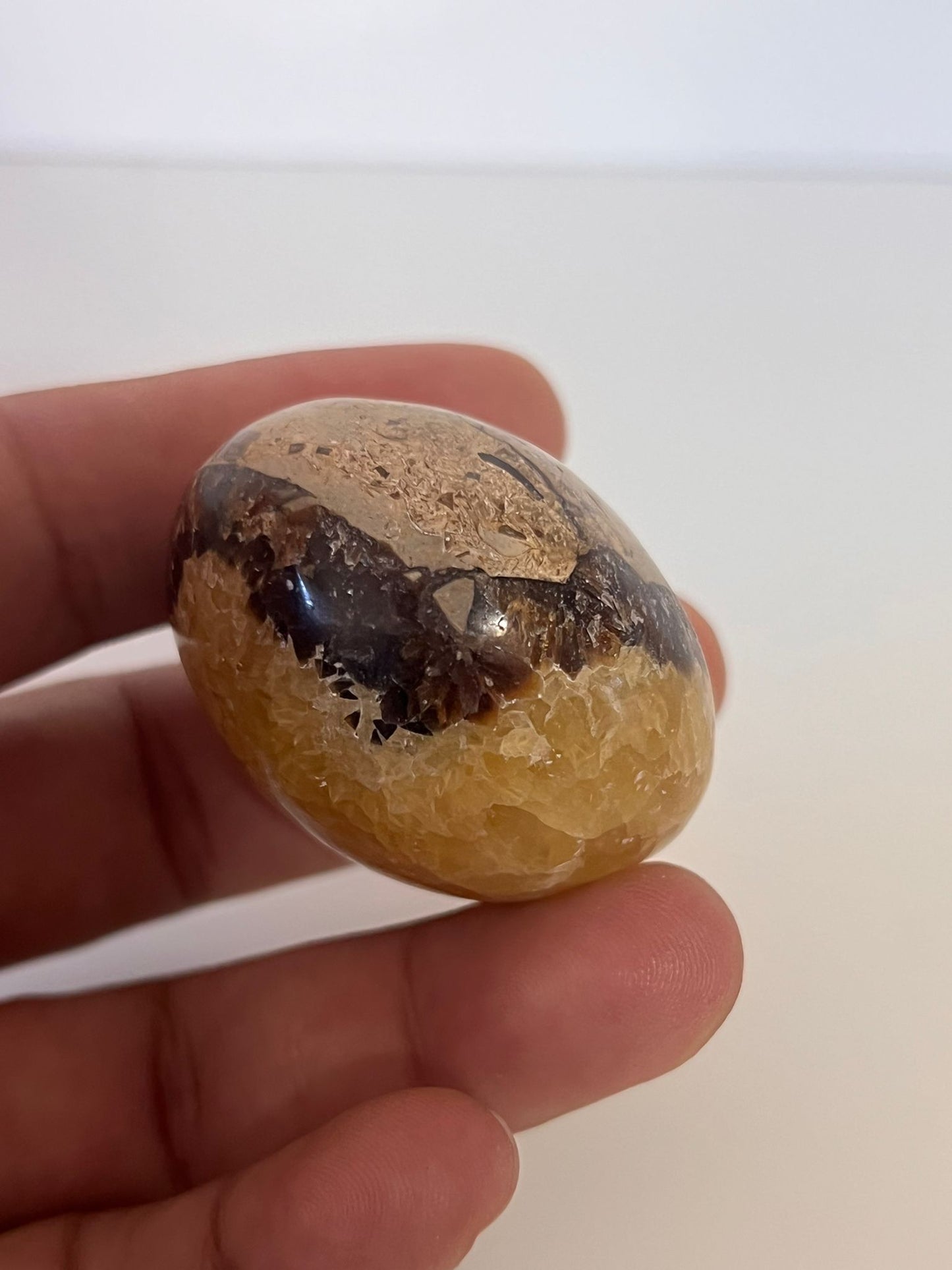 Septarian Nodule