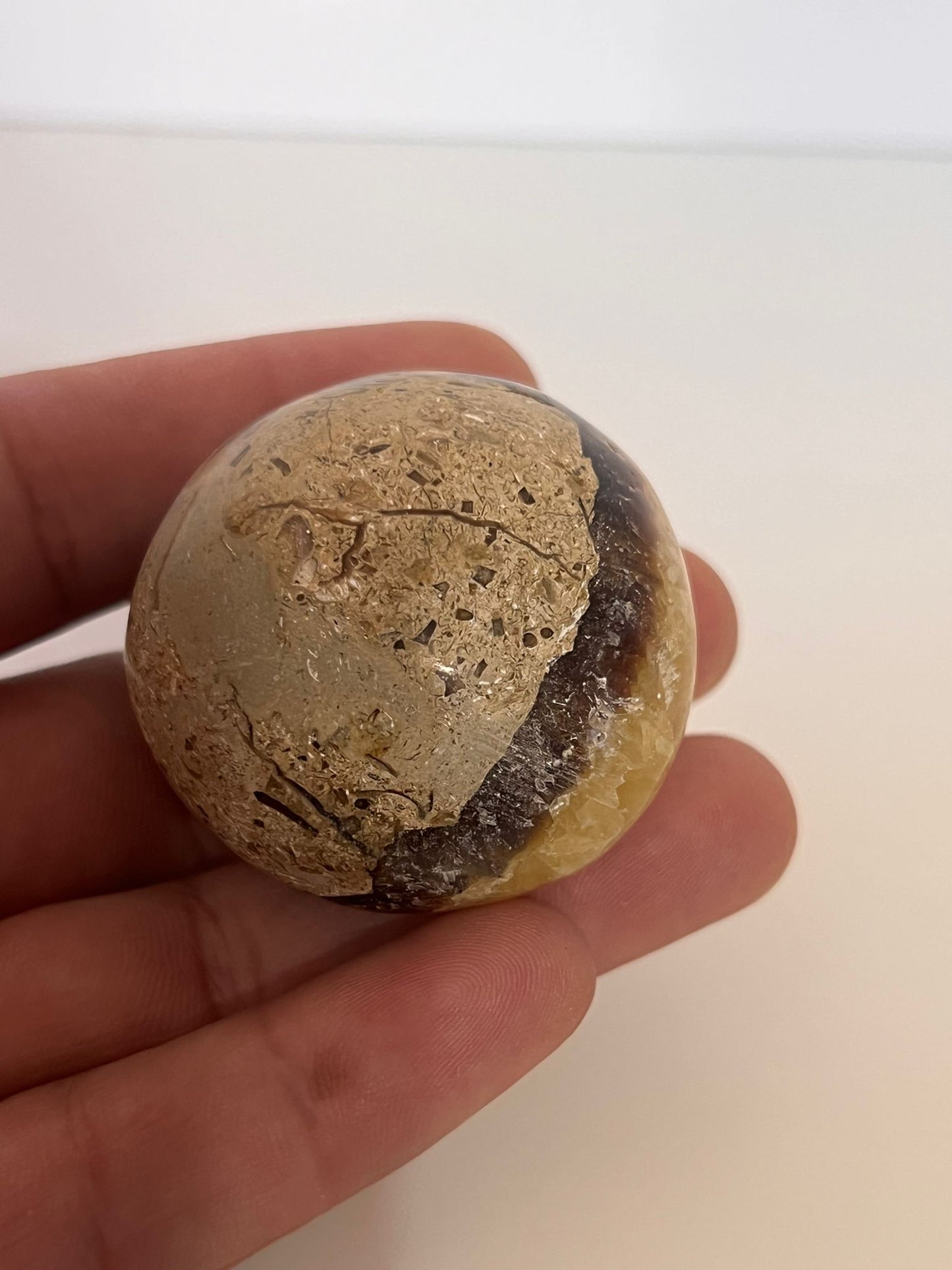 Septarian Nodule