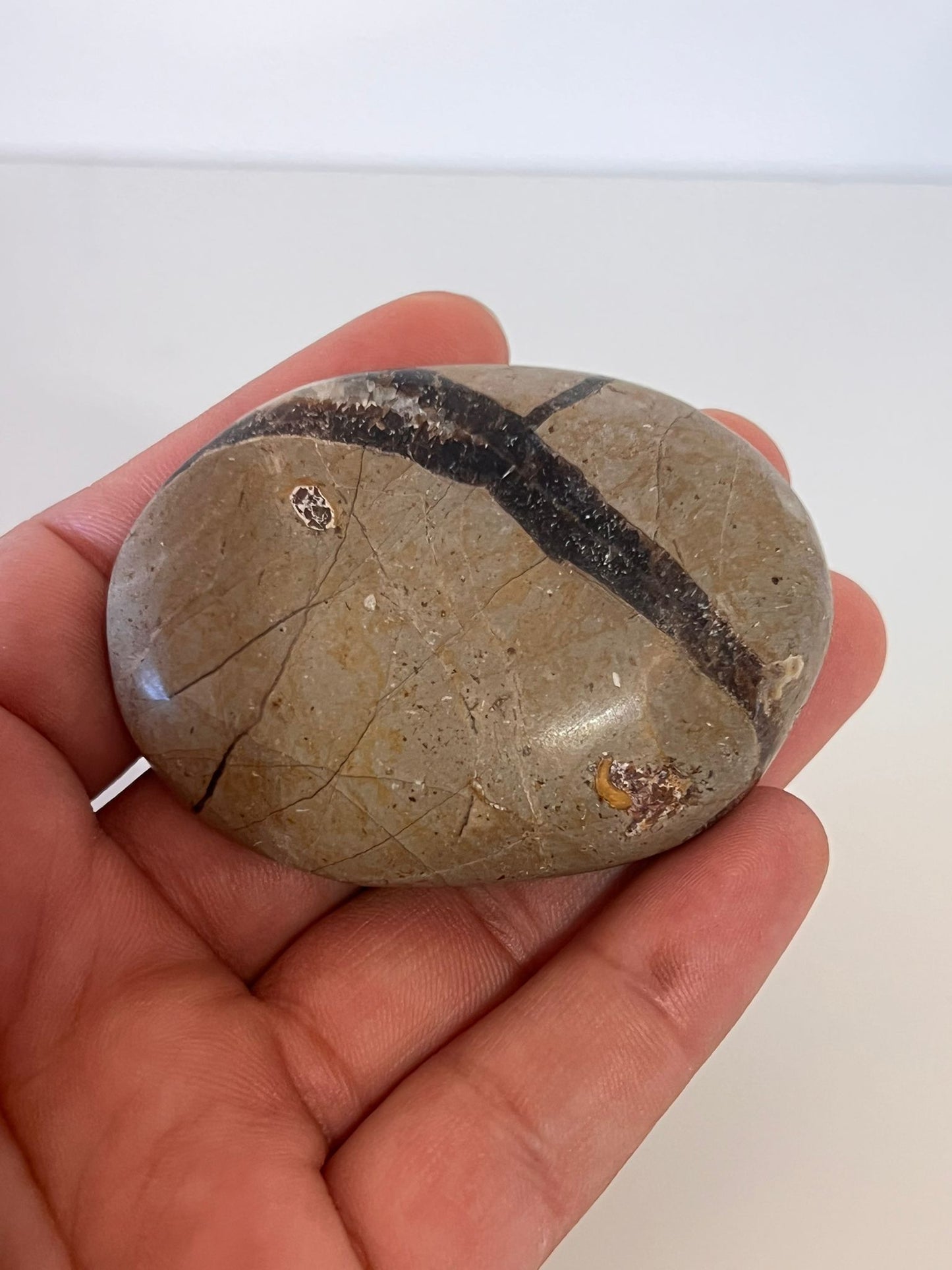 Septarian Nodule