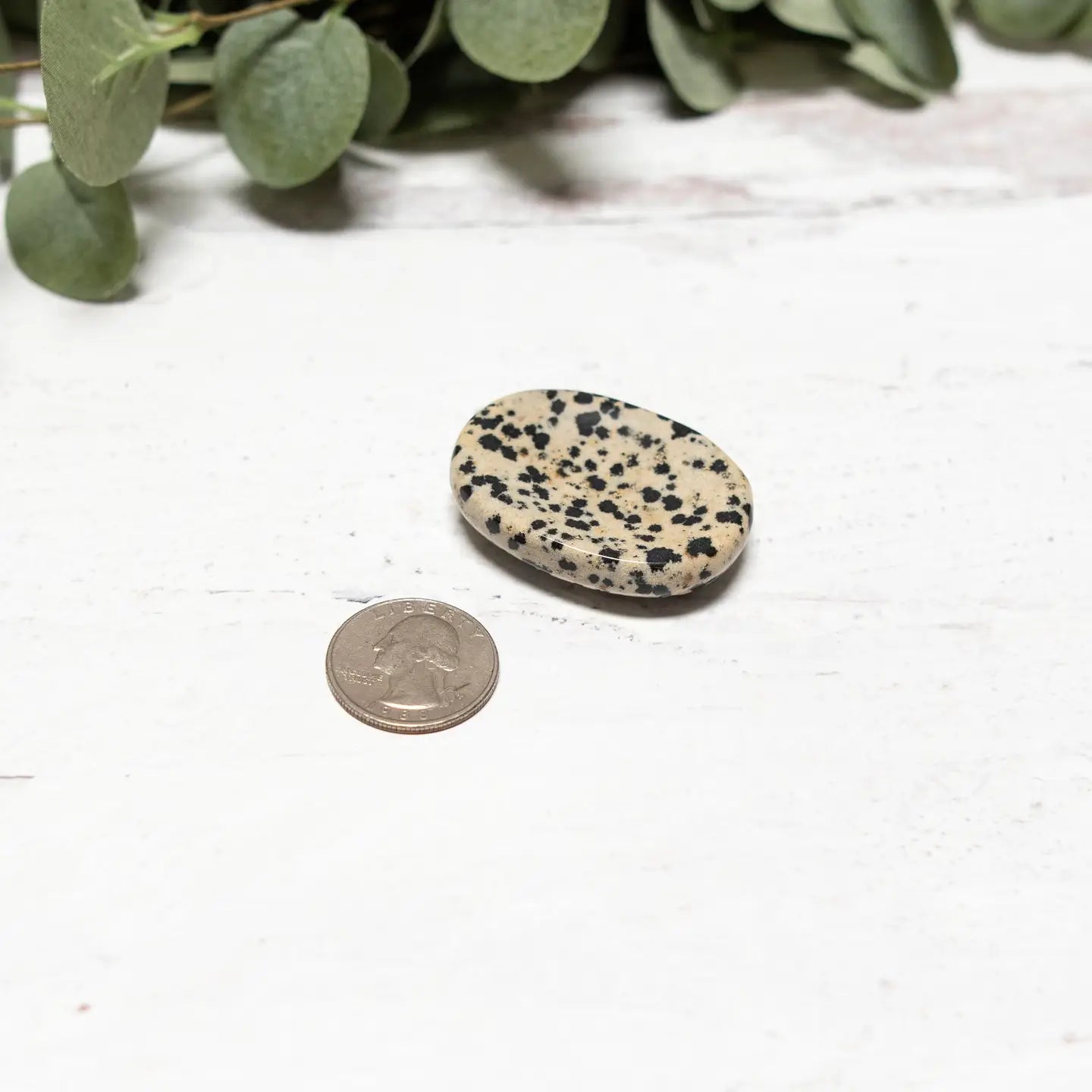 Dalmatian Jasper Worry Stone