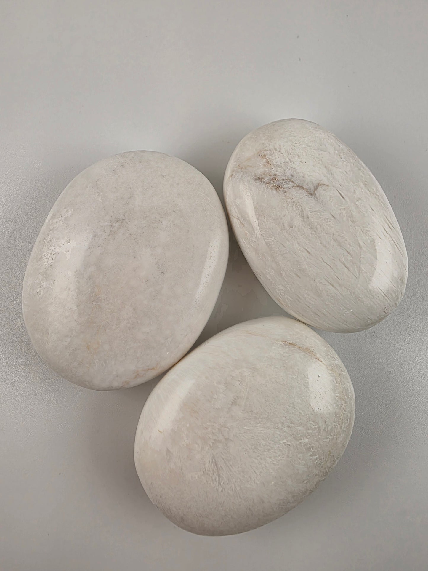 SCOLECITE